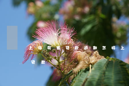 上海夸客贷款逾期怎样(上海夸客金融是什么贷款)
