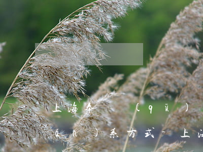 上海奉賢區(qū)債務糾紛律師聯(lián)系方式-上海奉賢法律咨詢