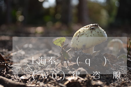 上海奉賢區(qū)債權(quán)債務(wù)律師咨詢服務(wù)-上海奉賢區(qū)債權(quán)債務(wù)律師咨詢服務(wù)中心