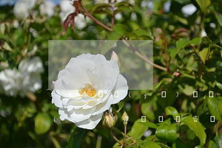 上海奉賢區(qū)債權(quán)債務(wù)律師電話咨詢-上海奉賢區(qū)債權(quán)債務(wù)律師電話咨詢熱線