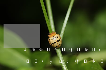 上海奉賢南橋律師事務(wù)所在哪里(奉賢區(qū)律師事務(wù)所)
