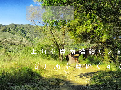 上海奉賢南橋鎮(zhèn)律師事務(wù)所(奉賢區(qū)律師事務(wù)所)