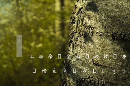 上海奉賢家庭離婚律師事務(wù)所(上海離婚案律師事務(wù)所)