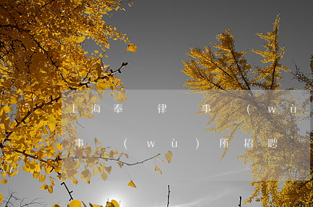 上海奉賢律師事務(wù)所(上海奉賢律師事務(wù)所招聘)
