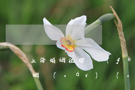 上?；橐龇蓭熧M(fèi)用(上海知名婚姻財(cái)產(chǎn)律師)