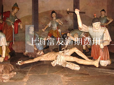 上海富友逾期费用-上海富友是哪家网贷