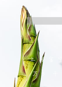 上海富宝贷逾期以诈骗罪起诉(富宝贷逾期1万3千多元多久会上门,起诉)