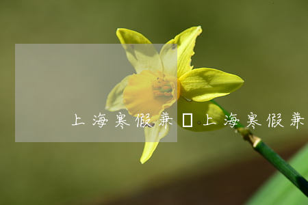上海寒假兼職(上海寒假兼職多嗎?)