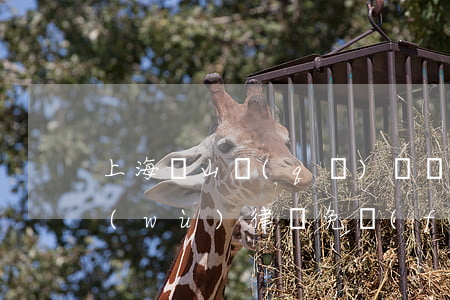 上海寶山區(qū)債權(quán)債務(wù)律師免費(fèi)咨詢-上海寶山區(qū)債權(quán)債務(wù)律師免費(fèi)咨詢電話