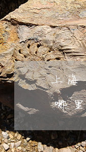 上海寶山區(qū)律師事務(wù)所在哪里