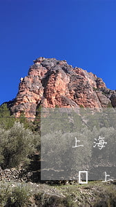 上海專業(yè)動(dòng)遷糾紛律師(上海最有名動(dòng)遷糾紛律師)