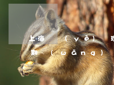 上海專業(yè)處理網(wǎng)貸逾期(網(wǎng)貸借款逾期)