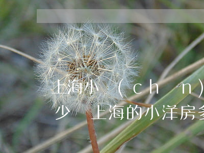 上海小產(chǎn)權(quán)房多少錢(上海的小洋房多少錢一套)