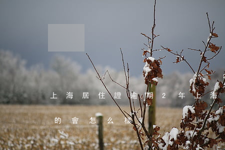 上海居住證逾期2年(上海居住證逾期未簽注的會怎么樣)
