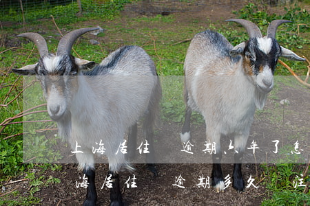上海居住證逾期六年了怎么續(xù)期(上海居住證逾期多久會注銷)