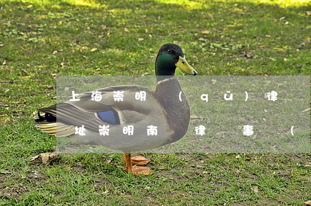 上海崇明區(qū)律師事務(wù)所地址(崇明南門律師事務(wù)所在哪里)