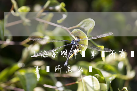上海崇明律師事務所有幾家(上海市光明律師事務所怎么樣)