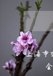 上海市交通十級傷殘賠多少(上海市十級工傷賠償金大約有多少)