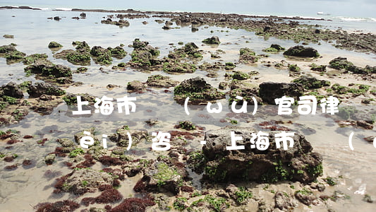 上海市債務(wù)官司律師電話免費(fèi)咨詢-上海市債務(wù)官司律師電話免費(fèi)咨詢熱線