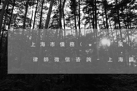 上海市債務(wù)風(fēng)險代理律師微信咨詢-上海債務(wù)風(fēng)險專家律師