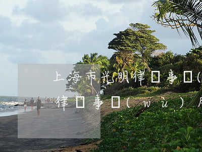 上海市光明律師事務(wù)所(上海市光明律師事務(wù)所服務(wù)怎么樣)