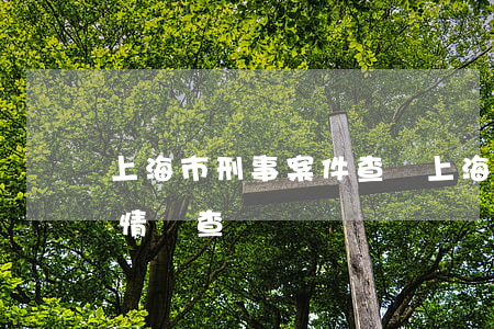 上海市刑事案件查詢(上海市公安局案件受理情況查詢)
