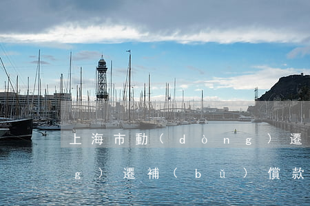 上海市動(dòng)遷(上海市動(dòng)遷補(bǔ)償款規(guī)定)