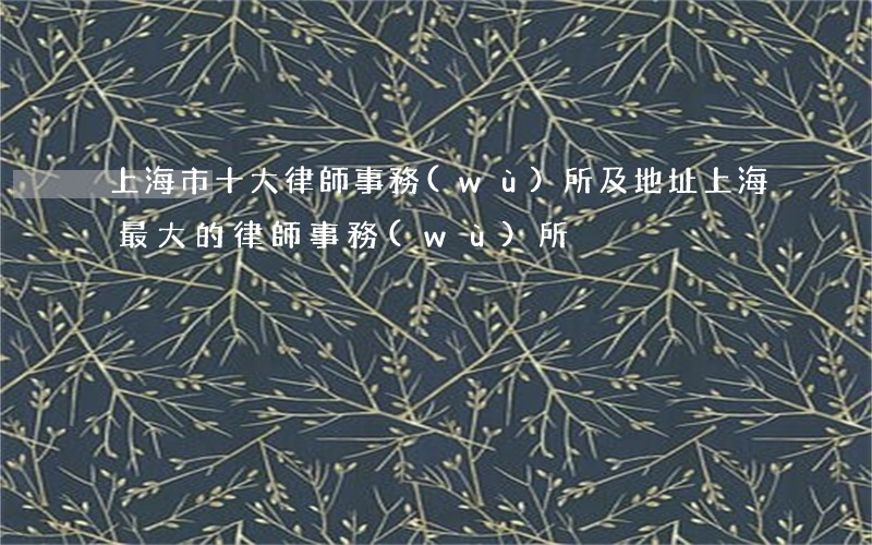 上海市十大律師事務(wù)所及地址(上海最大的律師事務(wù)所)