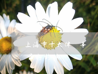 上海市十大律師事務(wù)所收費(上海市最好的律師)