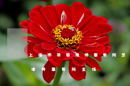上海市华荣律师事务所怎么样评价(上海华荣律师事务所主任)
