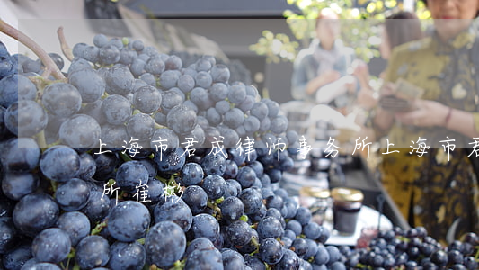 上海市君成律师事务所(上海市君成律师事务所崔彬)