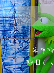 上海市哪個(gè)區(qū)最好(上海市哪個(gè)區(qū)最好)