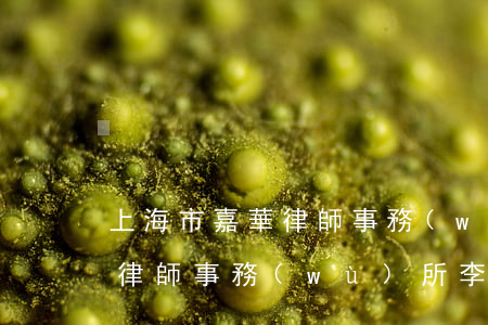 上海市嘉華律師事務(wù)所(上海市嘉華律師事務(wù)所李健)