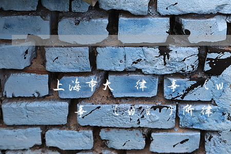上海市大眾律師事務(wù)所(上海眾華律師事務(wù)所律師名單)