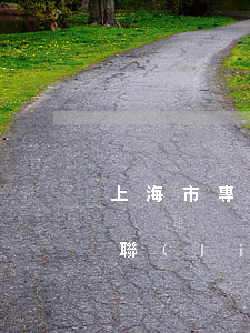上海市專業(yè)債務(wù)追償律師聯(lián)系方式-上海債務(wù)律師在線咨詢免費