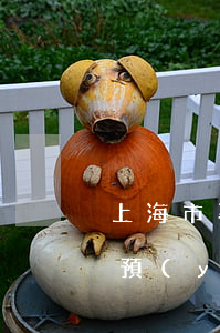 上海市專業(yè)債務(wù)追償律師預(yù)約面談-上海市專業(yè)債務(wù)追償律師預(yù)約面談平臺(tái)