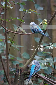 上海市松江區(qū)律師(松江律師事務(wù)所)