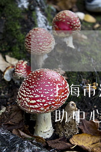 上海市法院可以申請法律援助嗎(上海法律援助中心可以免費咨詢嗎)