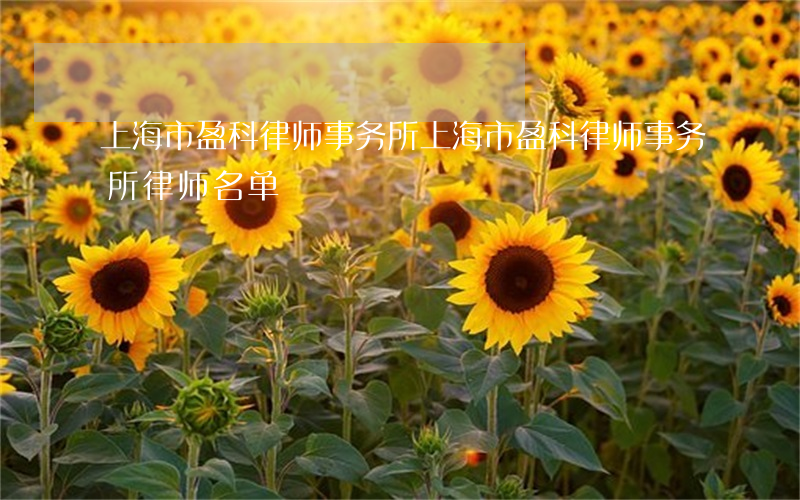 上海市盈科律师事务所(上海市盈科律师事务所律师名单)