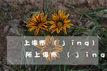 上海市經(jīng)緯律師事務(wù)所(上海市經(jīng)緯律師事務(wù)所)