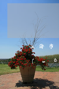 上海市網(wǎng)貸整治辦-上海市網(wǎng)貸整治辦公室電話