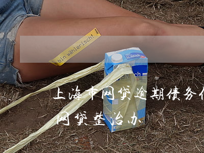 上海市网贷逾期债务优化怎么收费-上海市网贷整治办