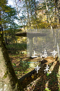 上海市華榮律師事務(wù)所怎么樣(上海市光華律師事務(wù)所)