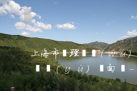 上海市處理債務(wù)執(zhí)行律師預(yù)約面談-上海債務(wù)糾紛律師電話