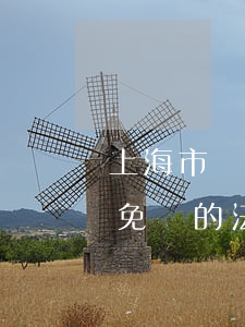 上海市離婚法律援助(上海網(wǎng)上免費的法律援助)