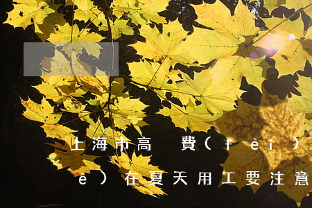 上海市高溫費(fèi)一般幾月（企業(yè)在夏天用工要注意什么）