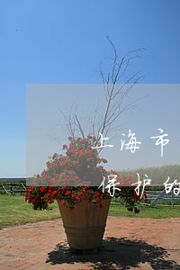 上海市高级人民法院关于加强知识产权司法保护的若干意见