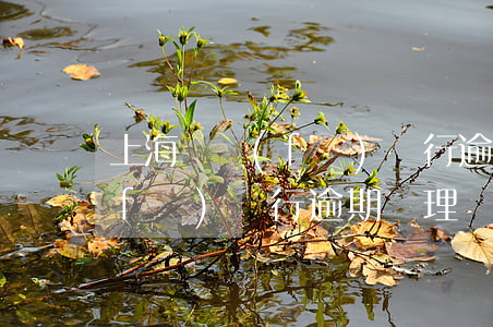 上海廣發(fā)銀行逾期處理 上海廣發(fā)銀行逾期處理