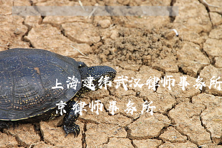 上海建纬(武汉)律师事务所官网(上海市建纬(北京)律师事务所)