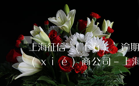 上海征信負(fù)債逾期法務(wù)協(xié)商公司-上海征信負(fù)債逾期法務(wù)協(xié)商公司有哪些